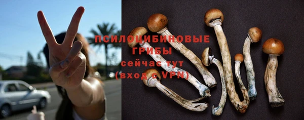 мет Елизово