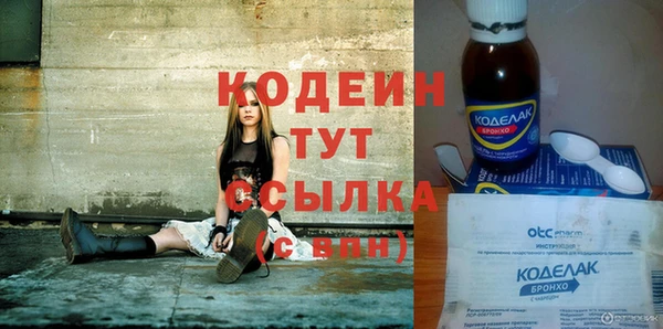 мет Елизово