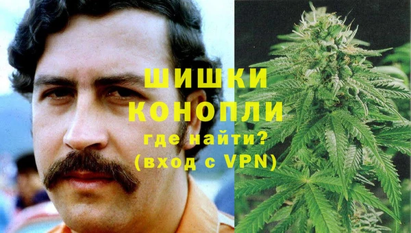 мет Елизово