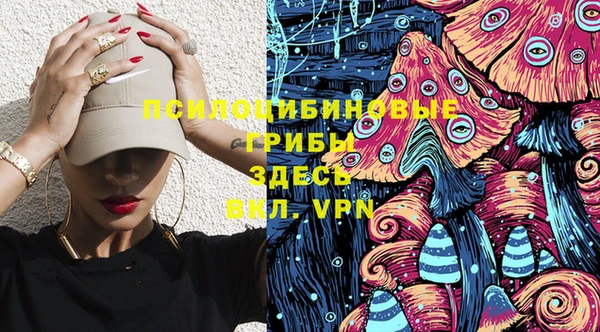 мет Елизово