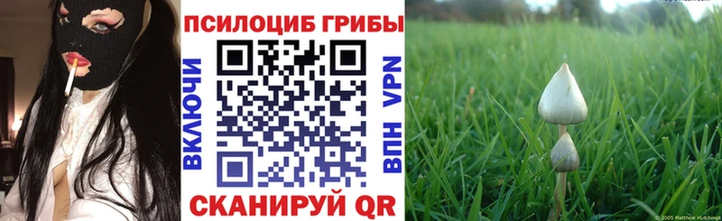 Купить где Баймак Галлюциногенные грибы MAGIC MUSHROOMS